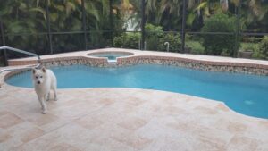 pool deck resurfacing example