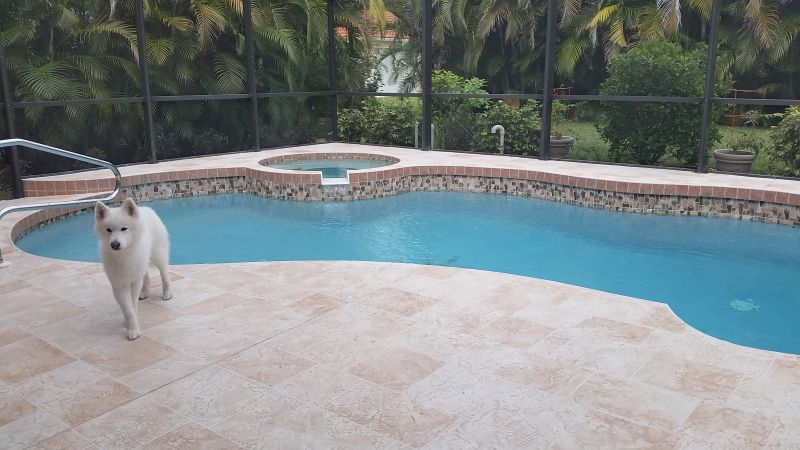 pool deck resurfacing example